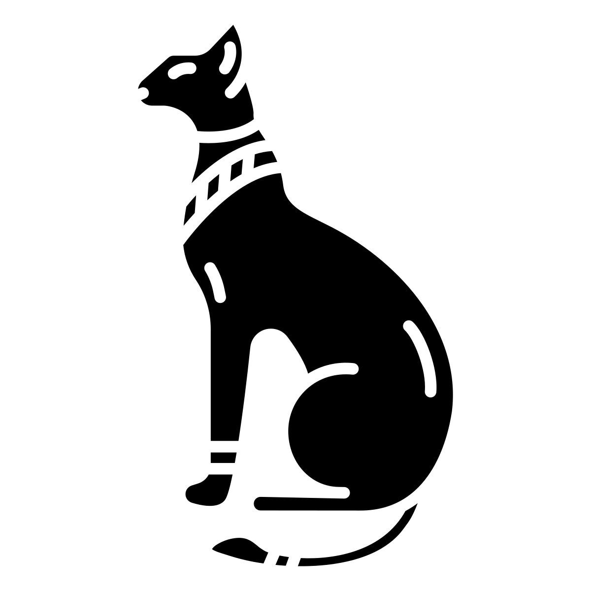 cat icon