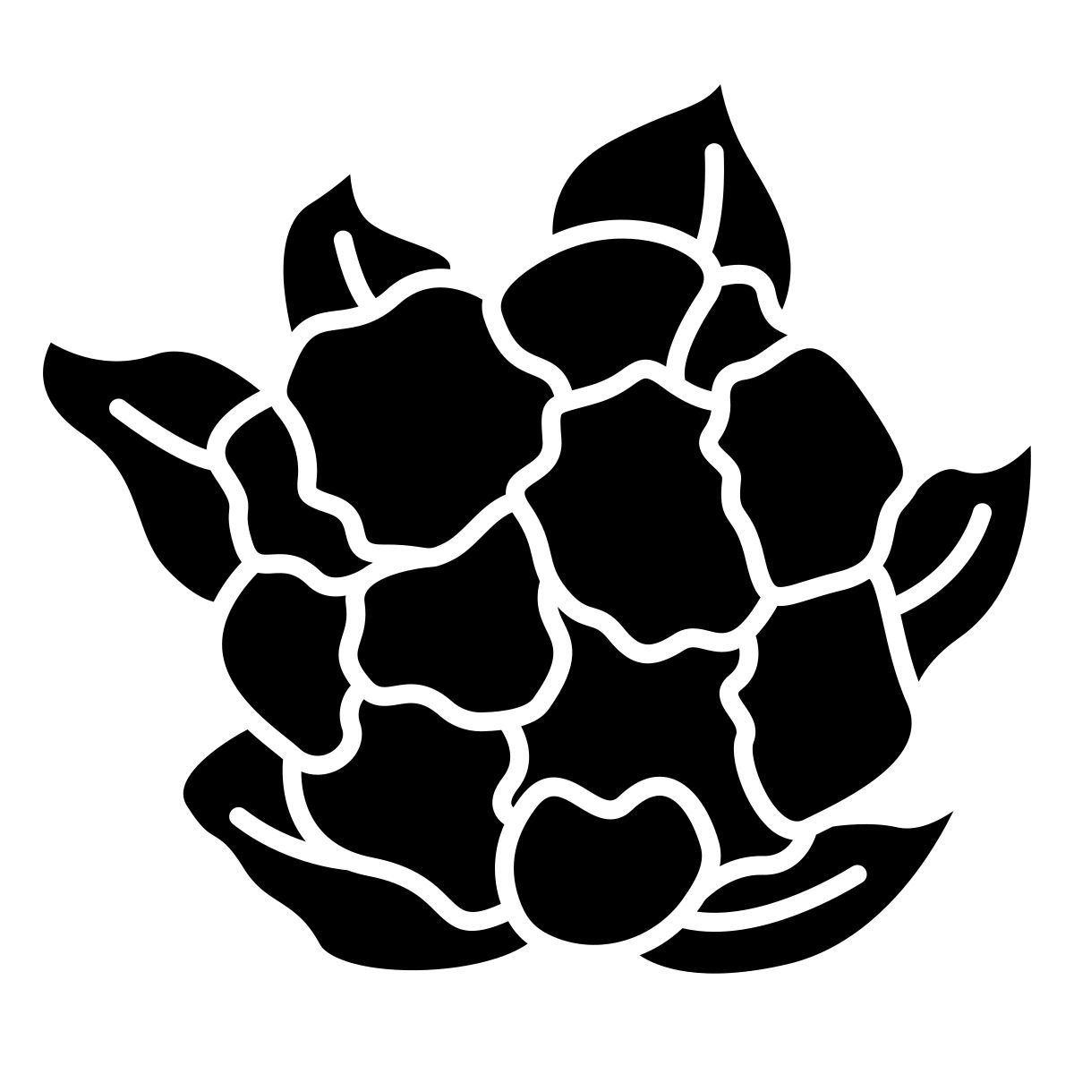 cauliflower icon