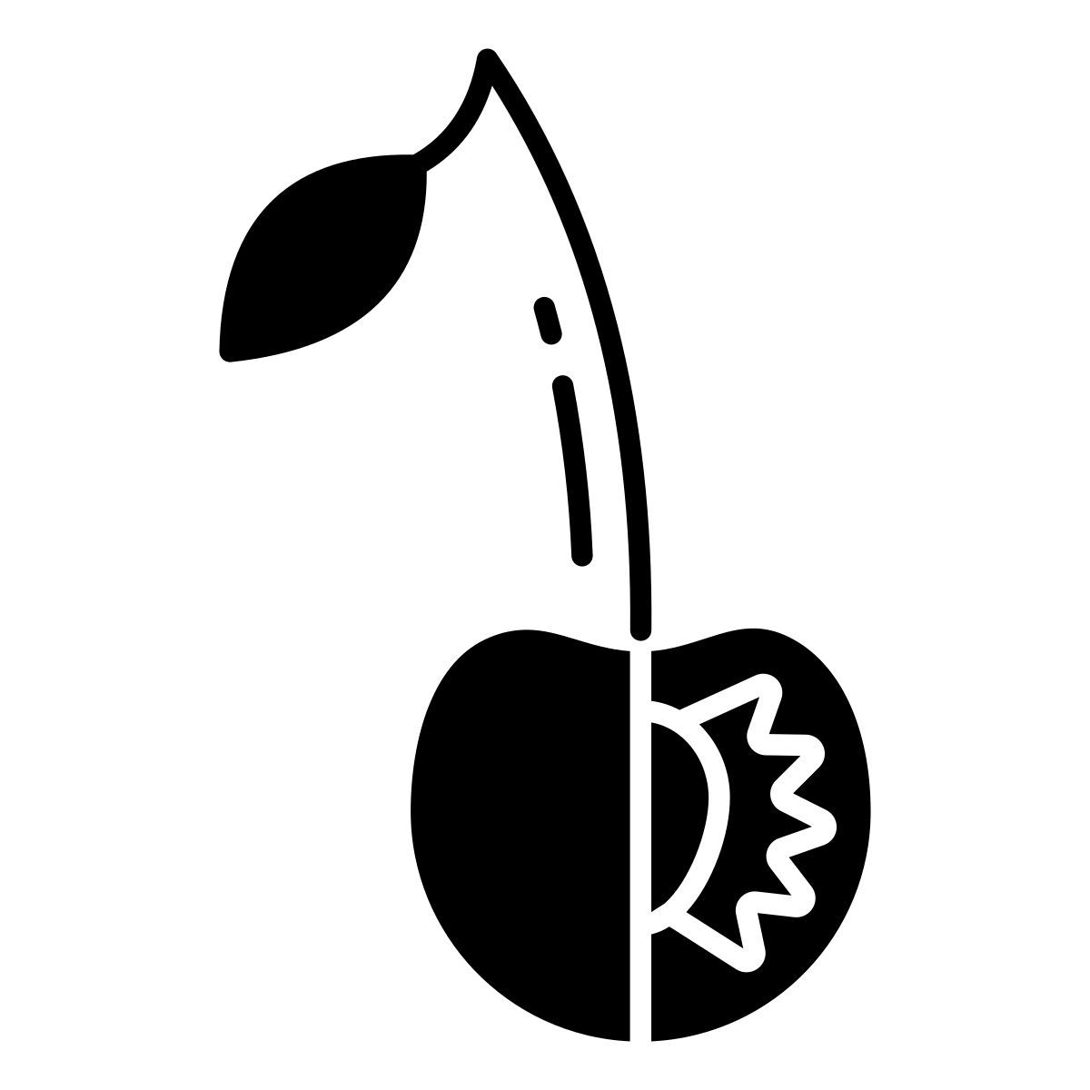 cherry icon