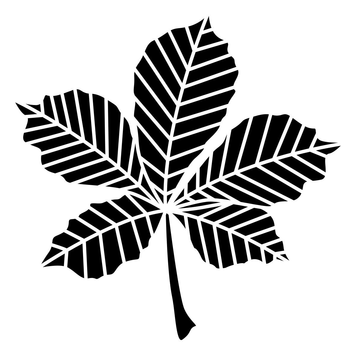 castanha icon