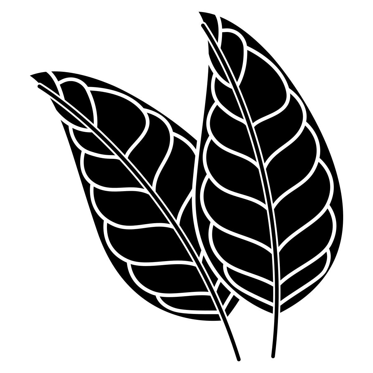 citrus icon
