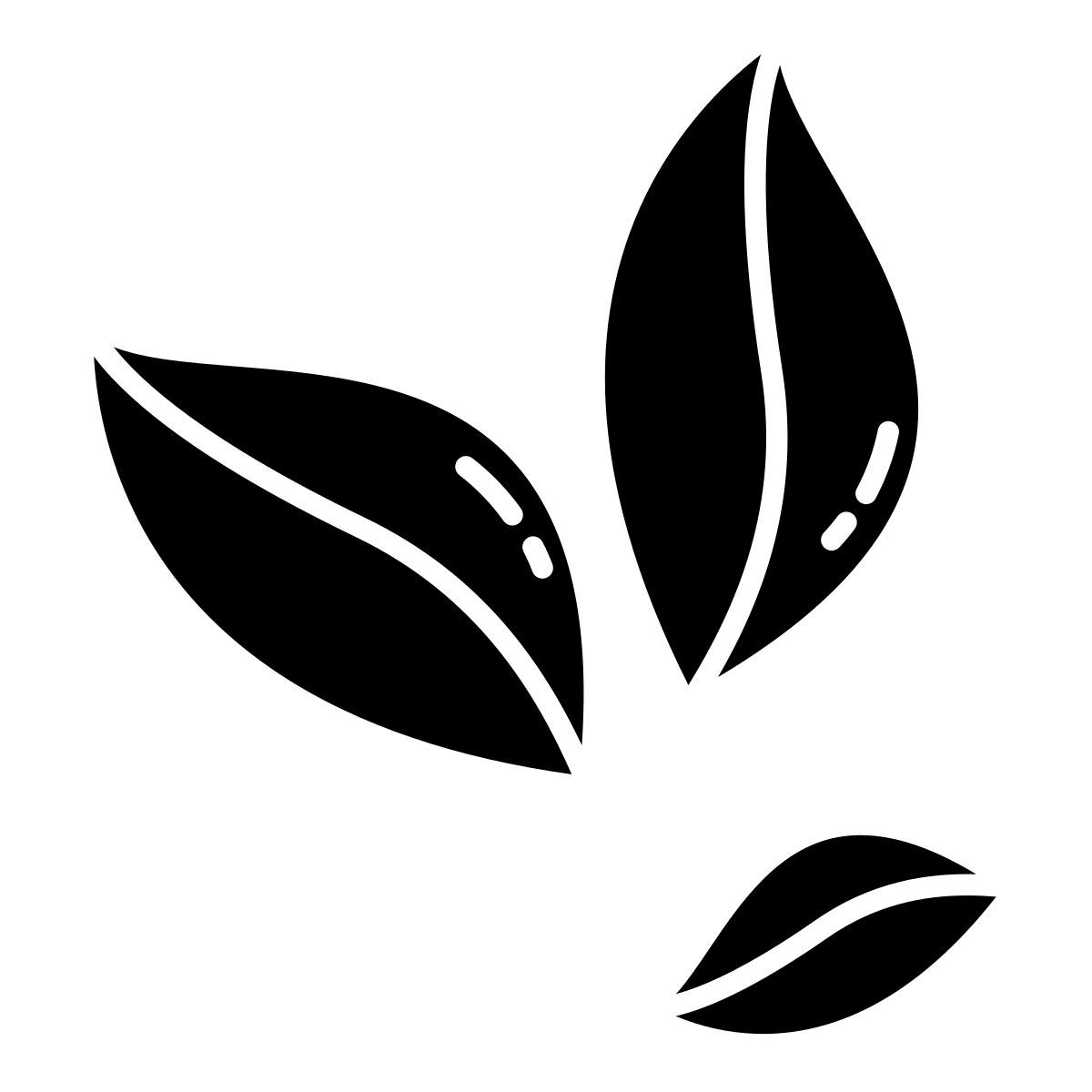 kokablätter icon