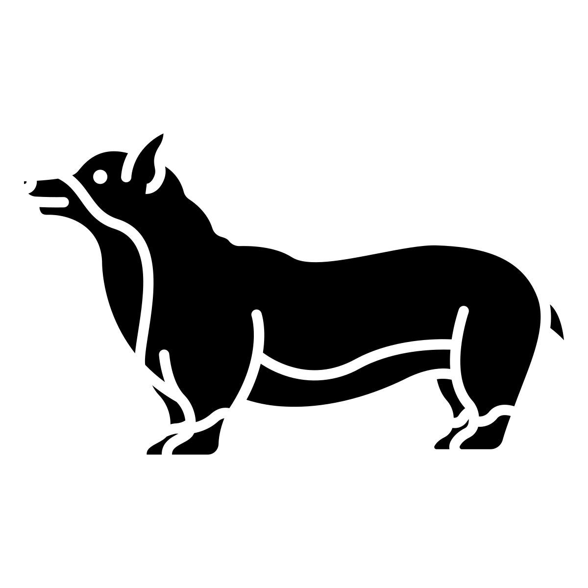 corgi icon