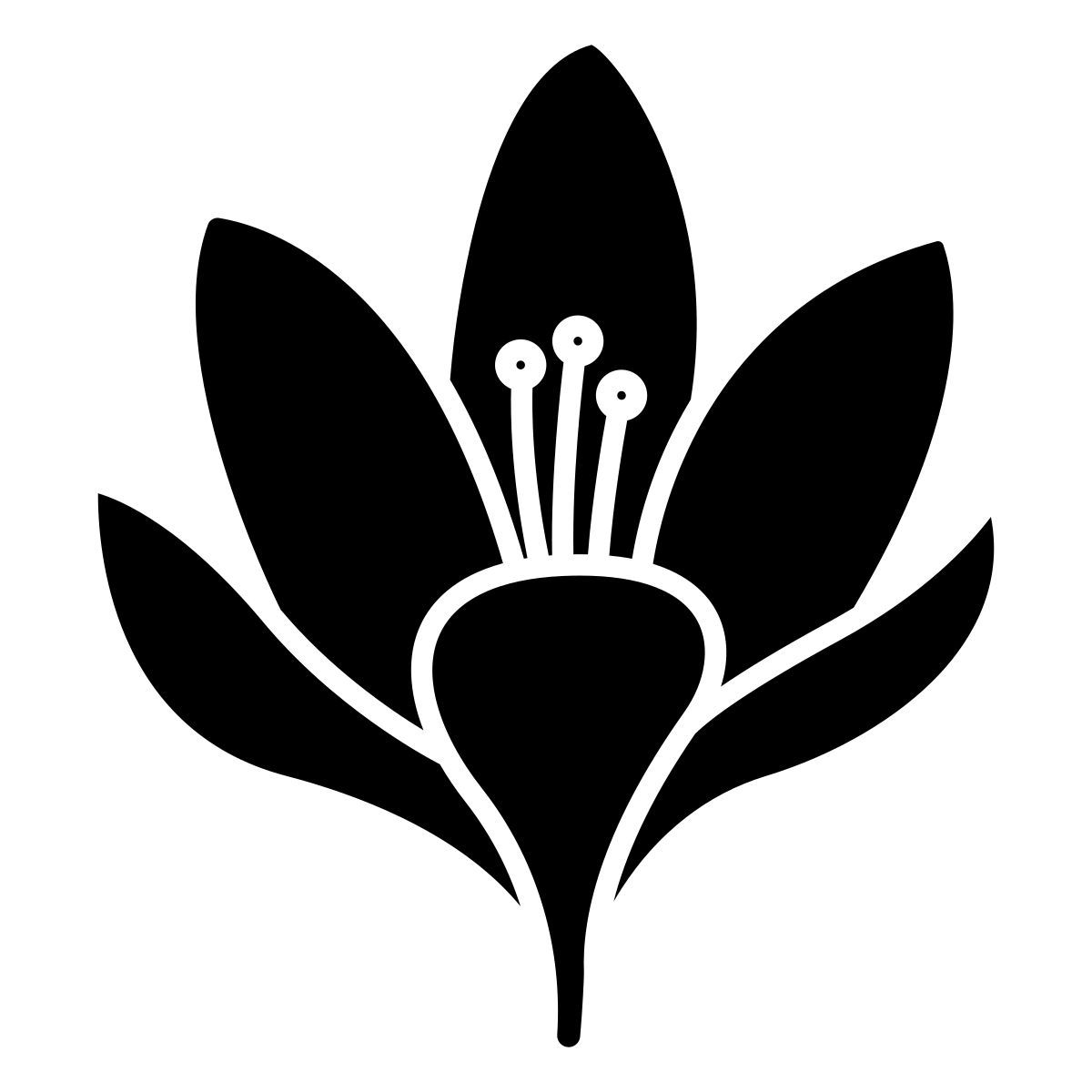 krokus icon