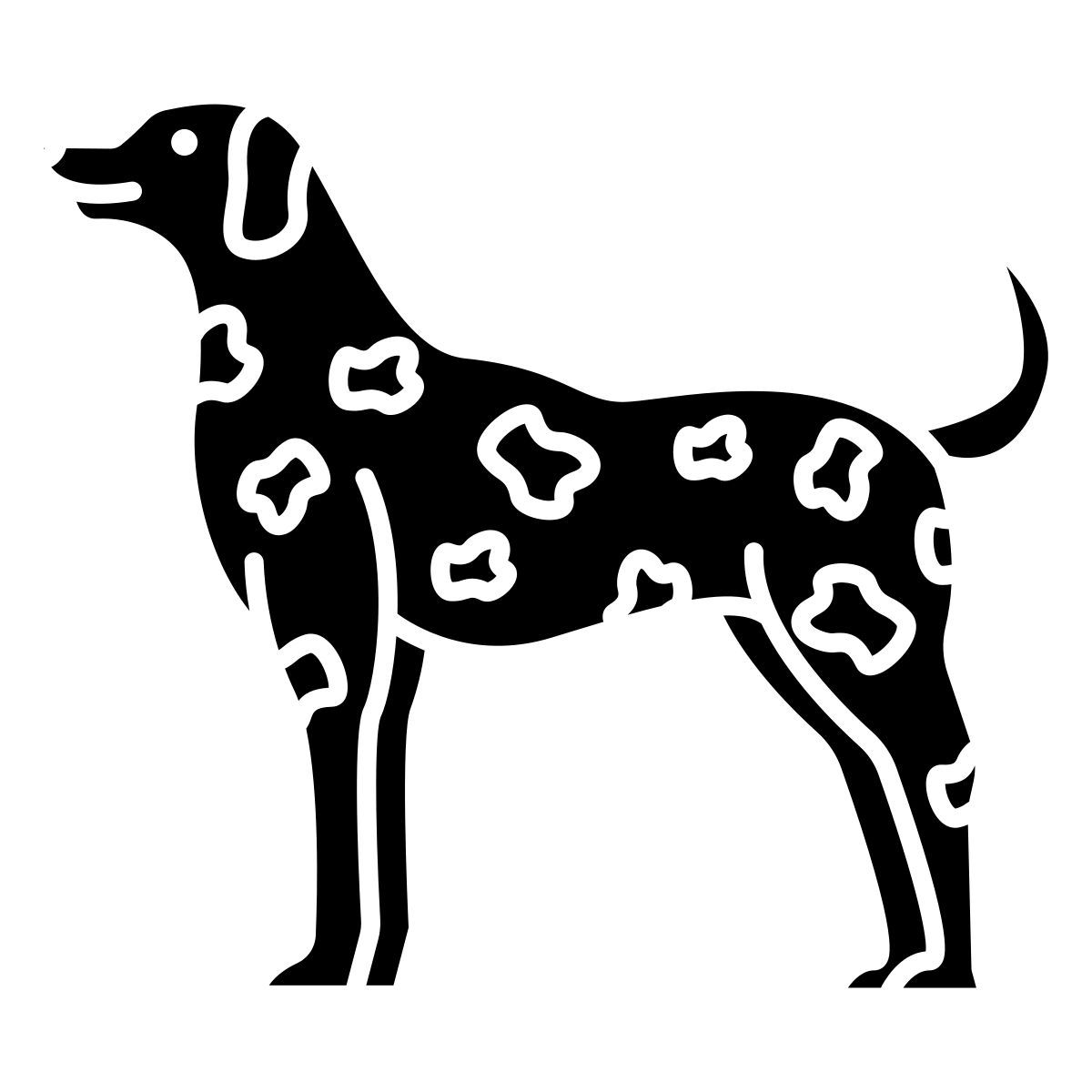 dalmation icon