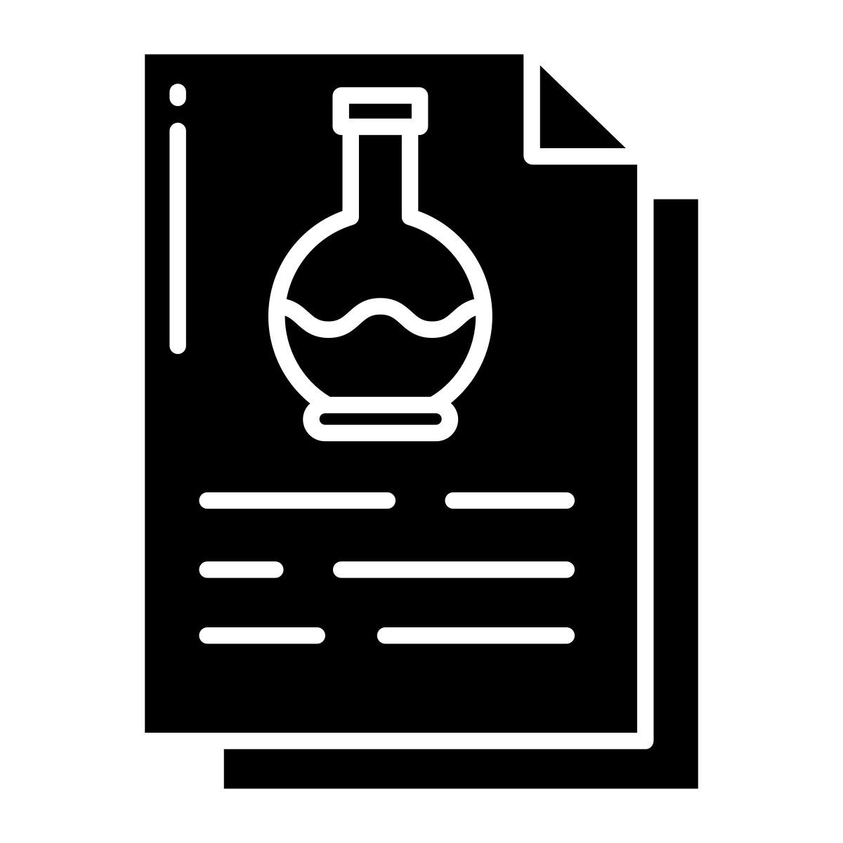 document icon