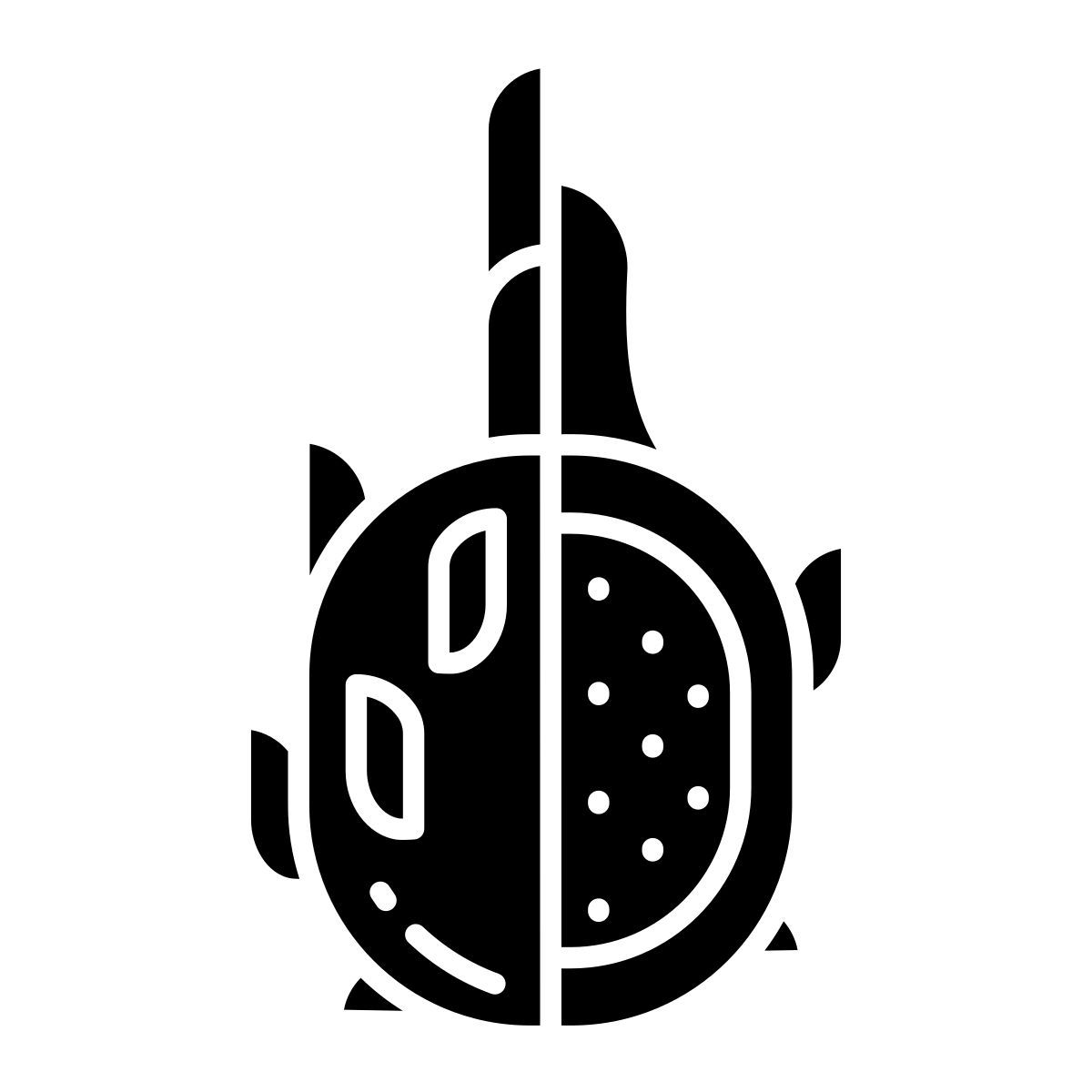 dragon fruit icon