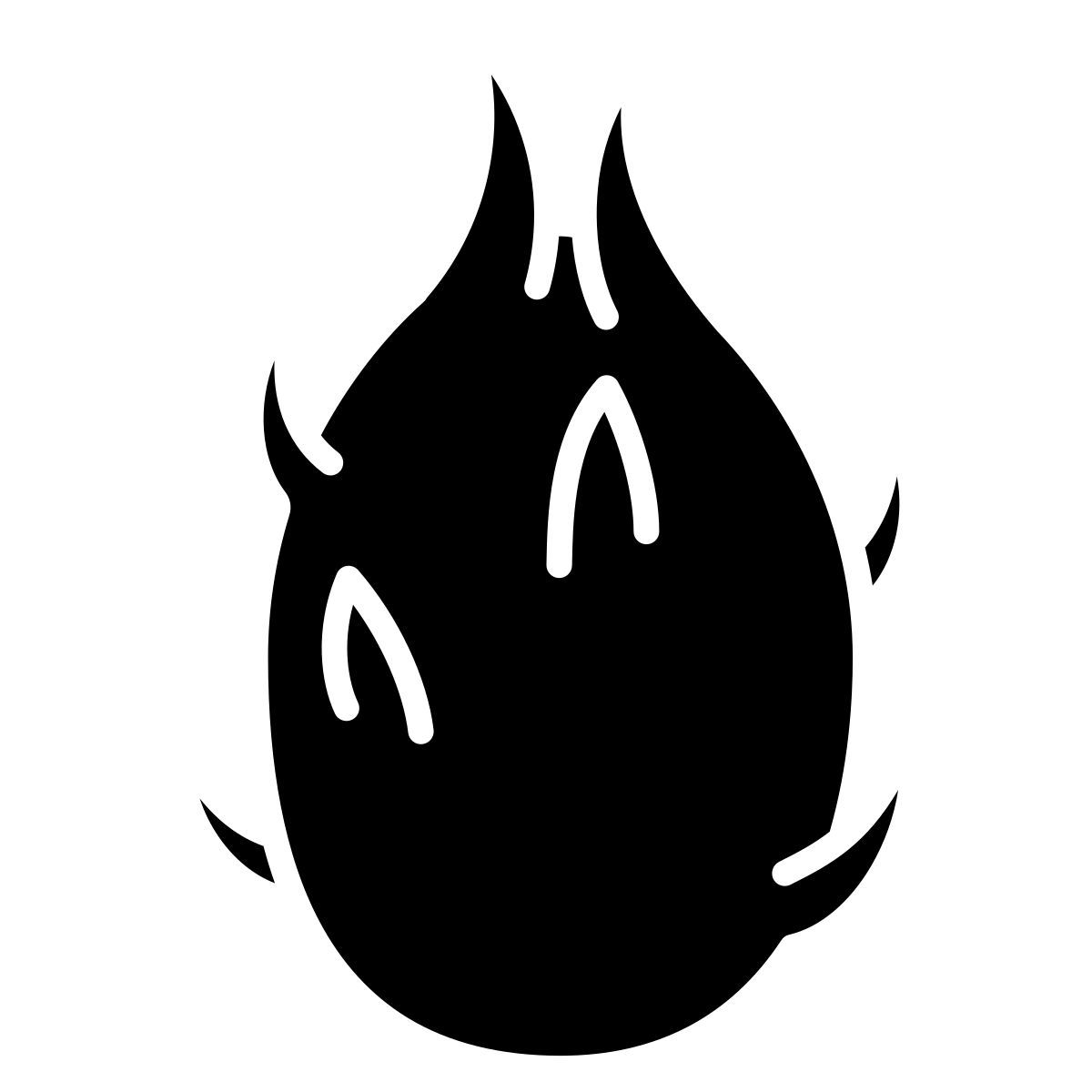 dragon fruit icon