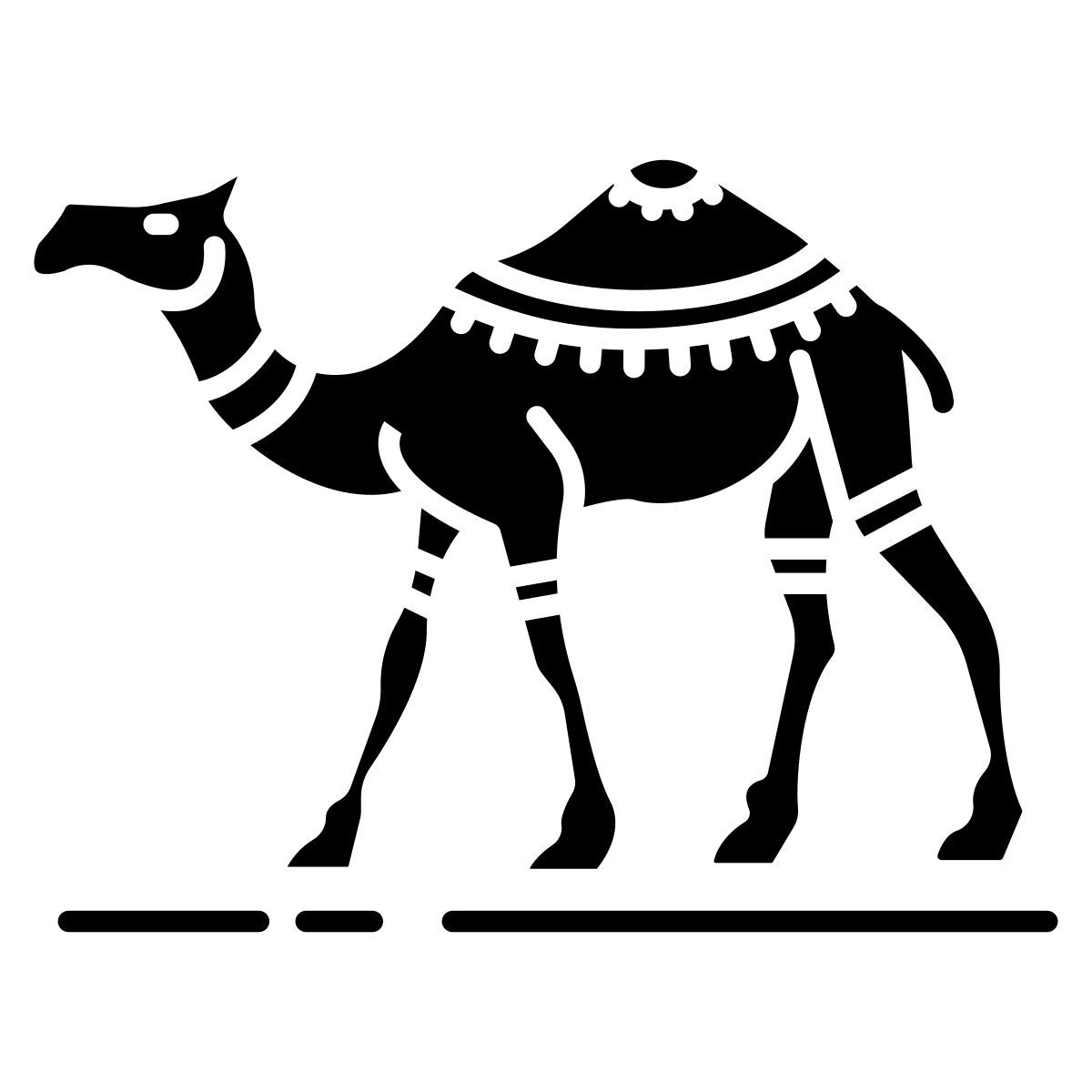 dromedary icon