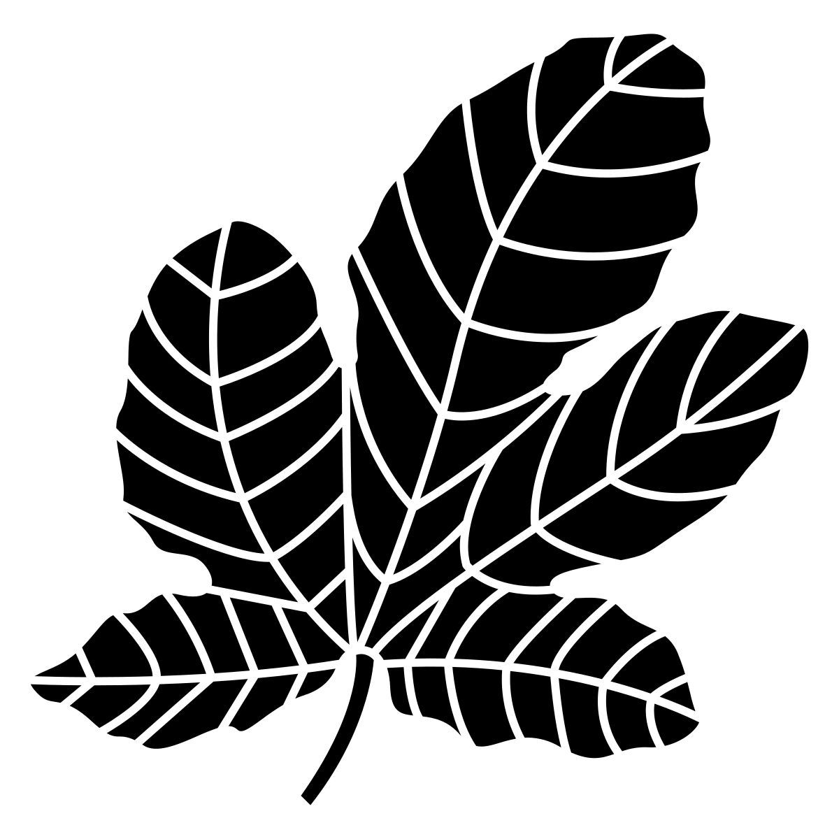 figue icon