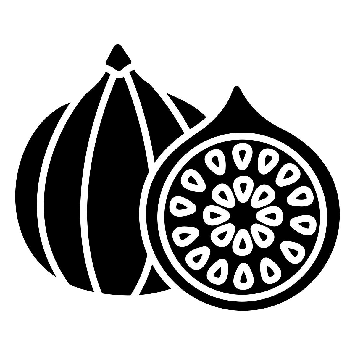 figs icon