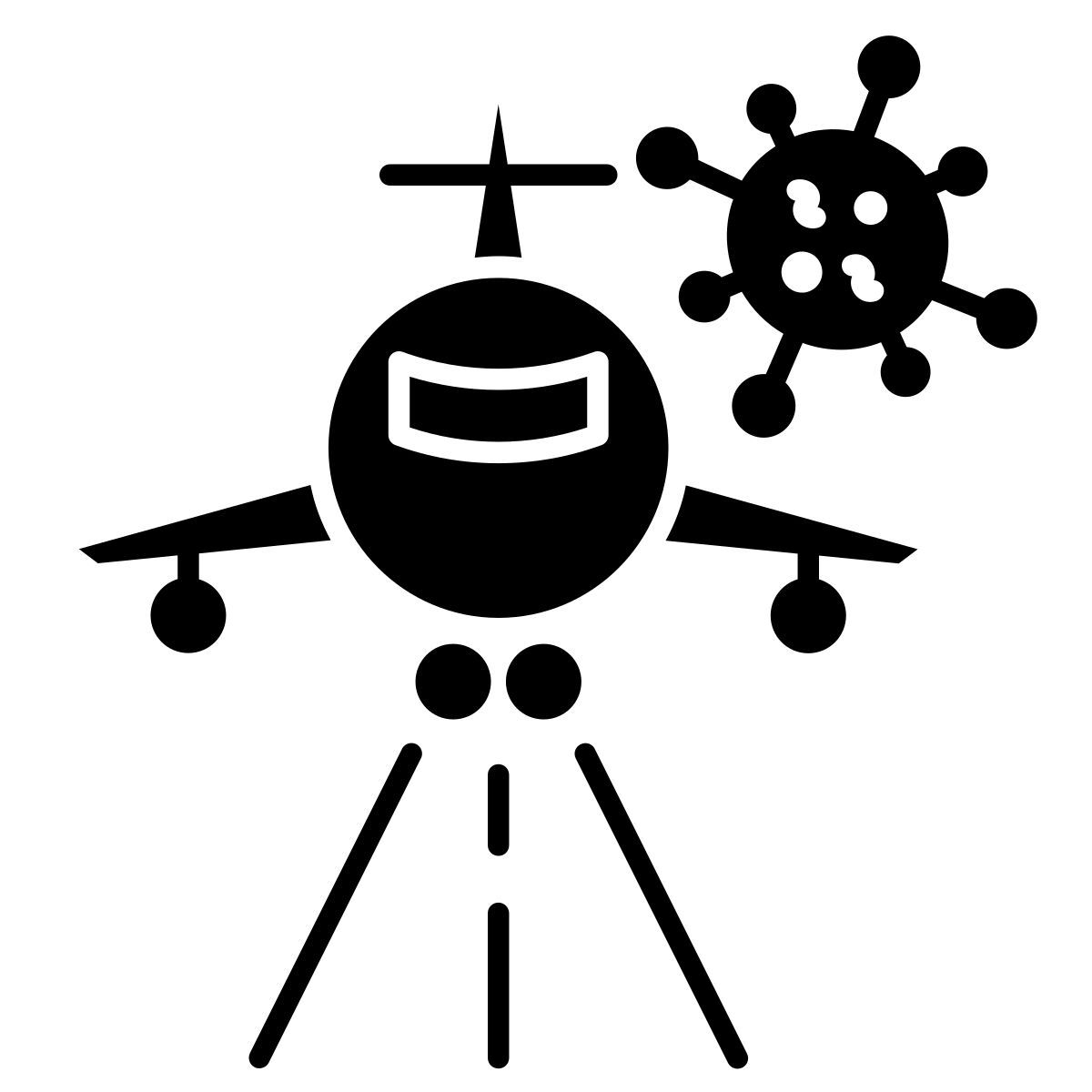 flight icon