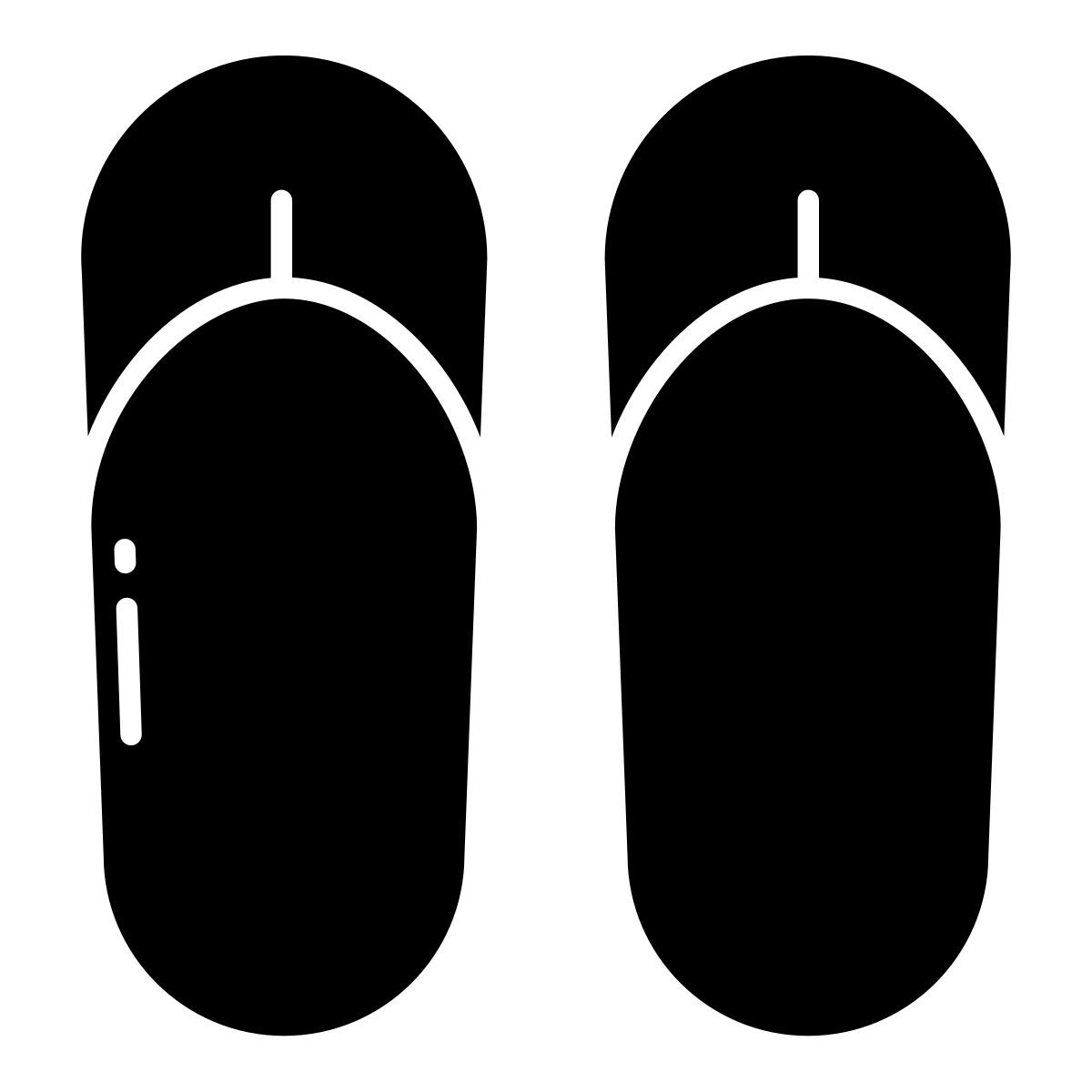flip flops icon