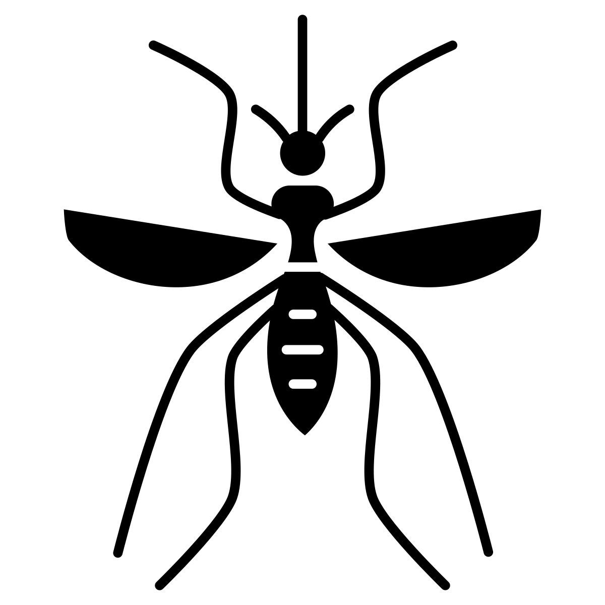 fly icon