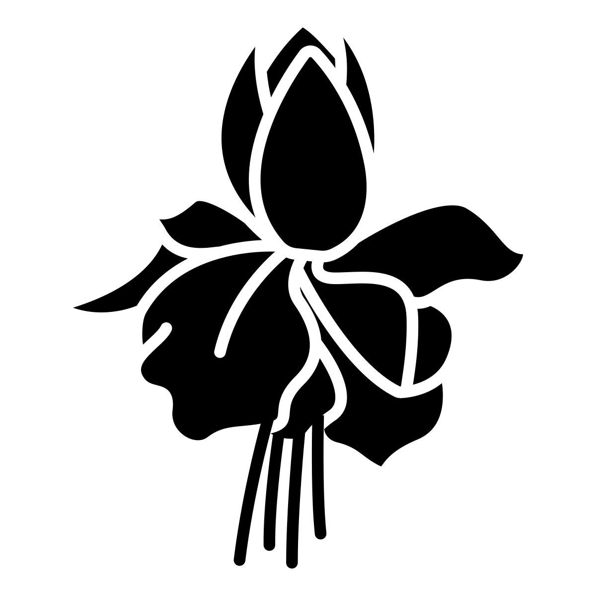fuchsia icon
