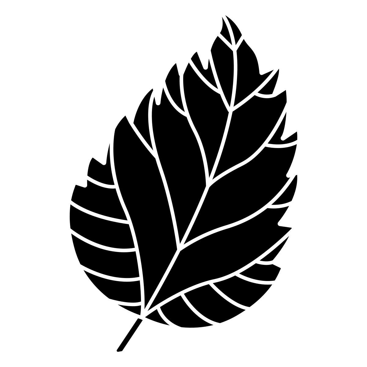 hibiscus icon