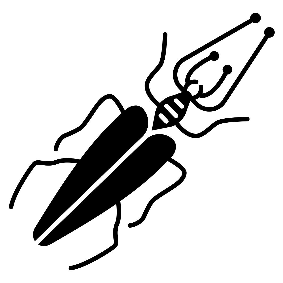 insect icon