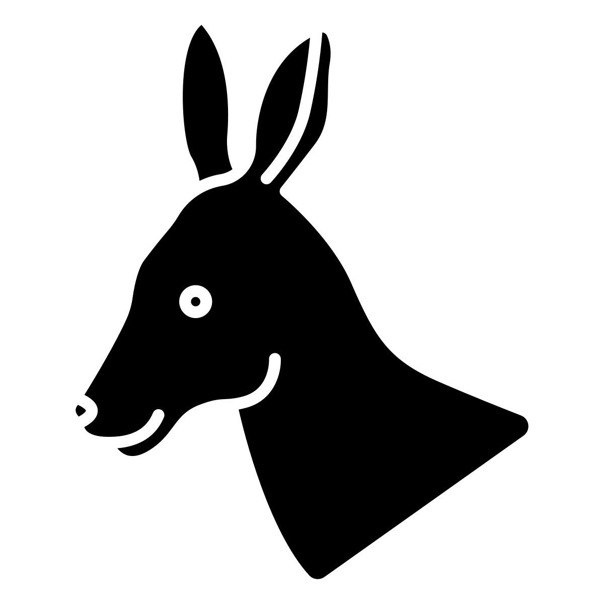 kangaroo icon