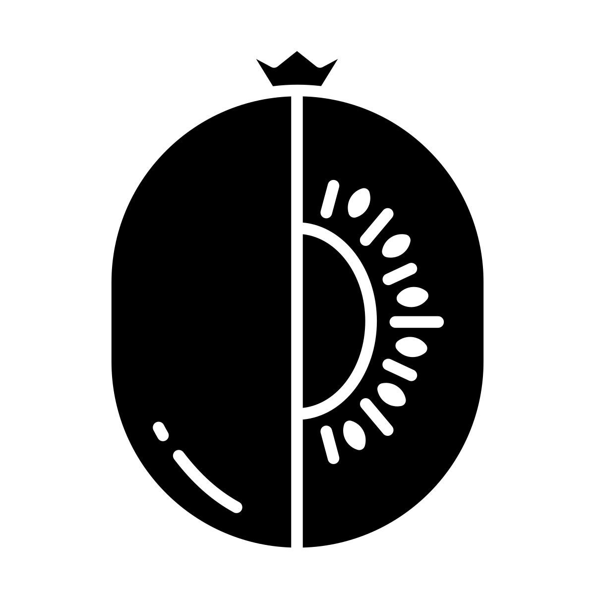kiwi icon
