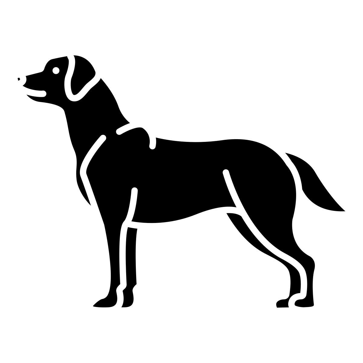 labrador retriever icon