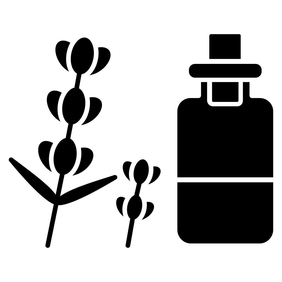 lavanda icon
