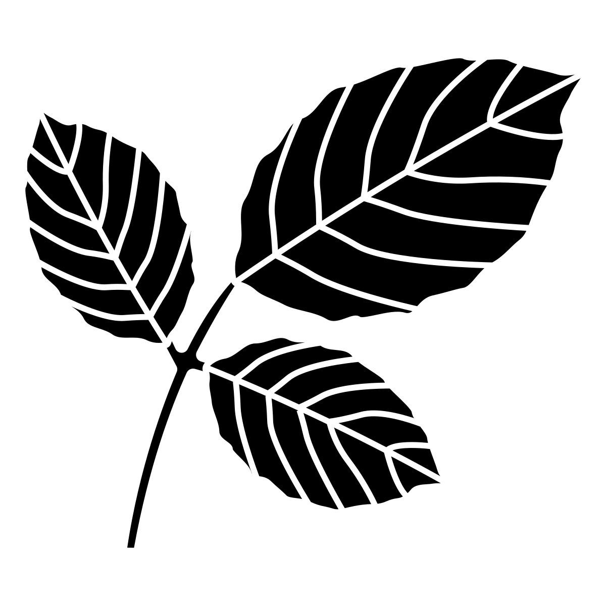 leaf icon