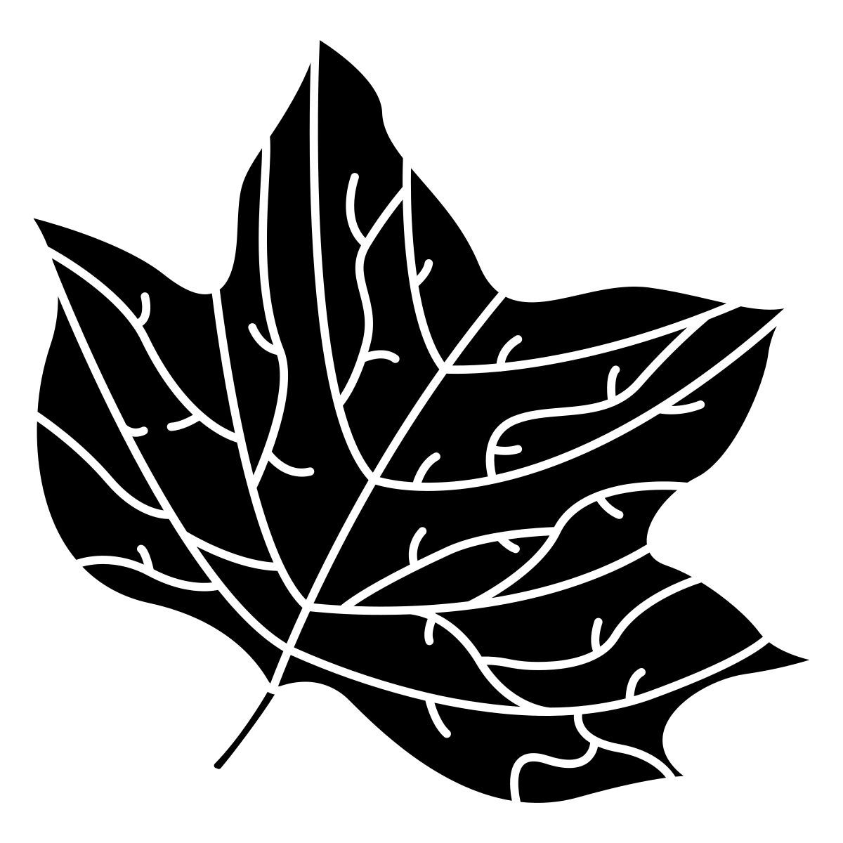 leaf icon