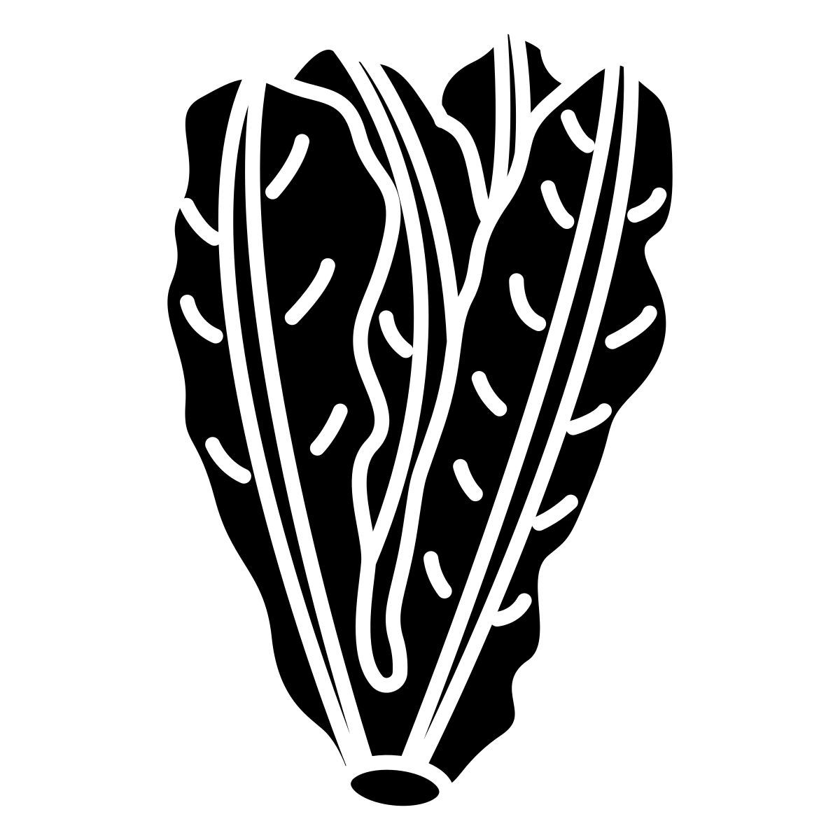 lettuce icon