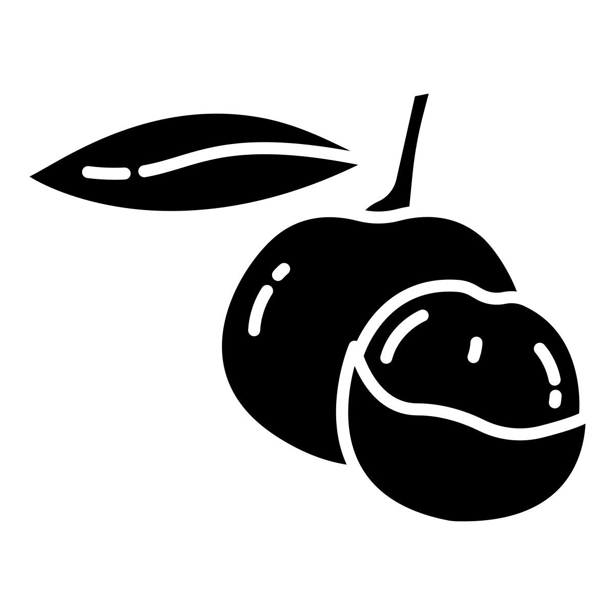 longan icon