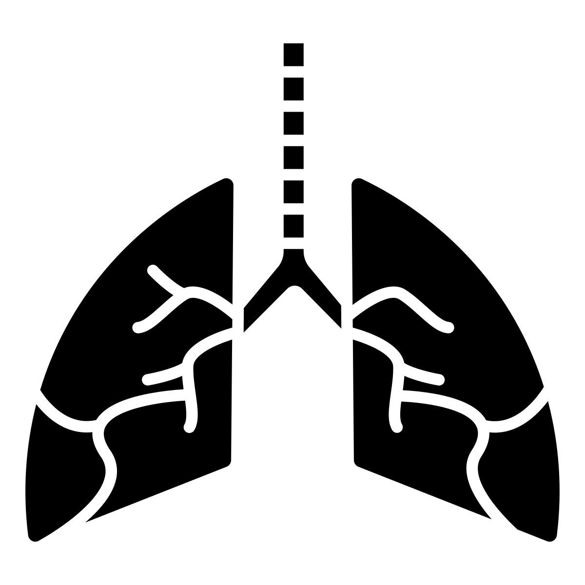 lungs icon