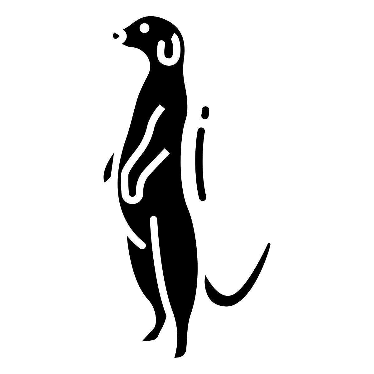 meerkat icon