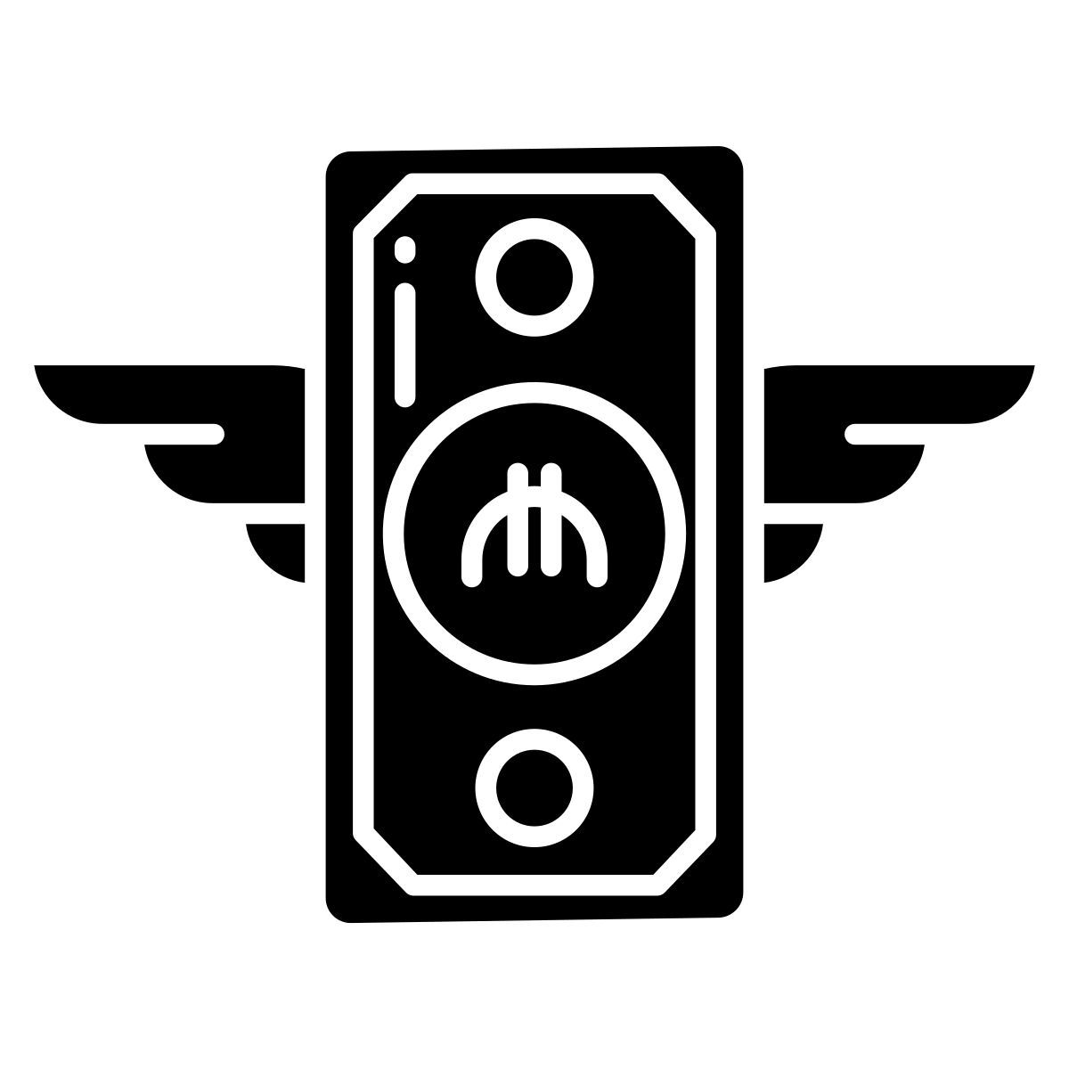 money icon