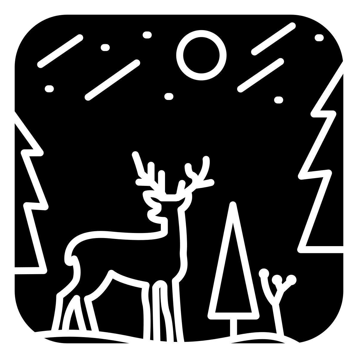 night icon