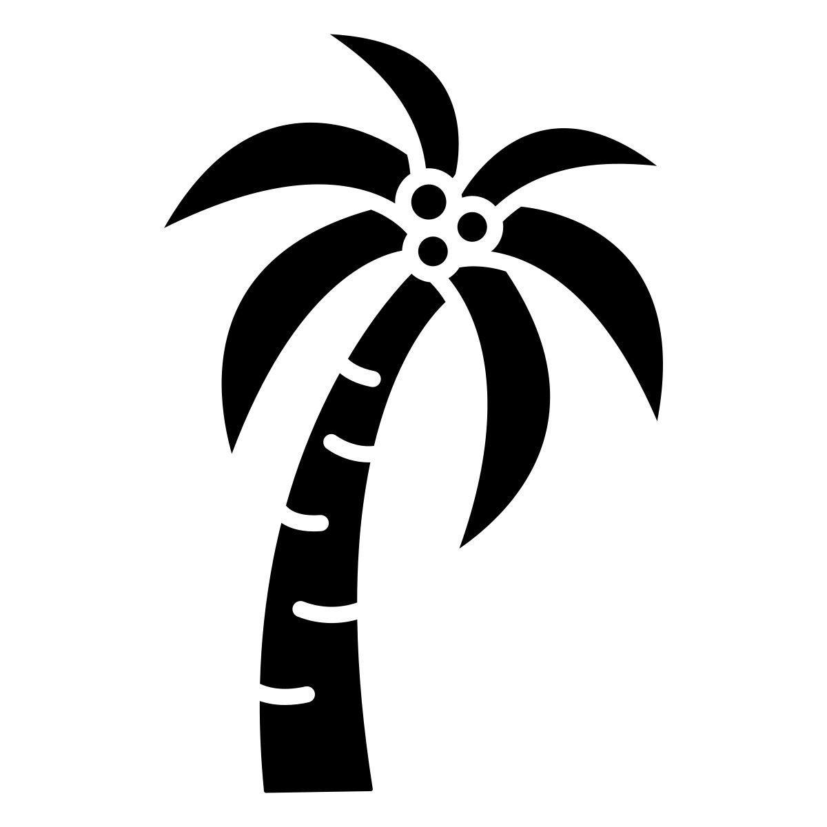 palm tree icon