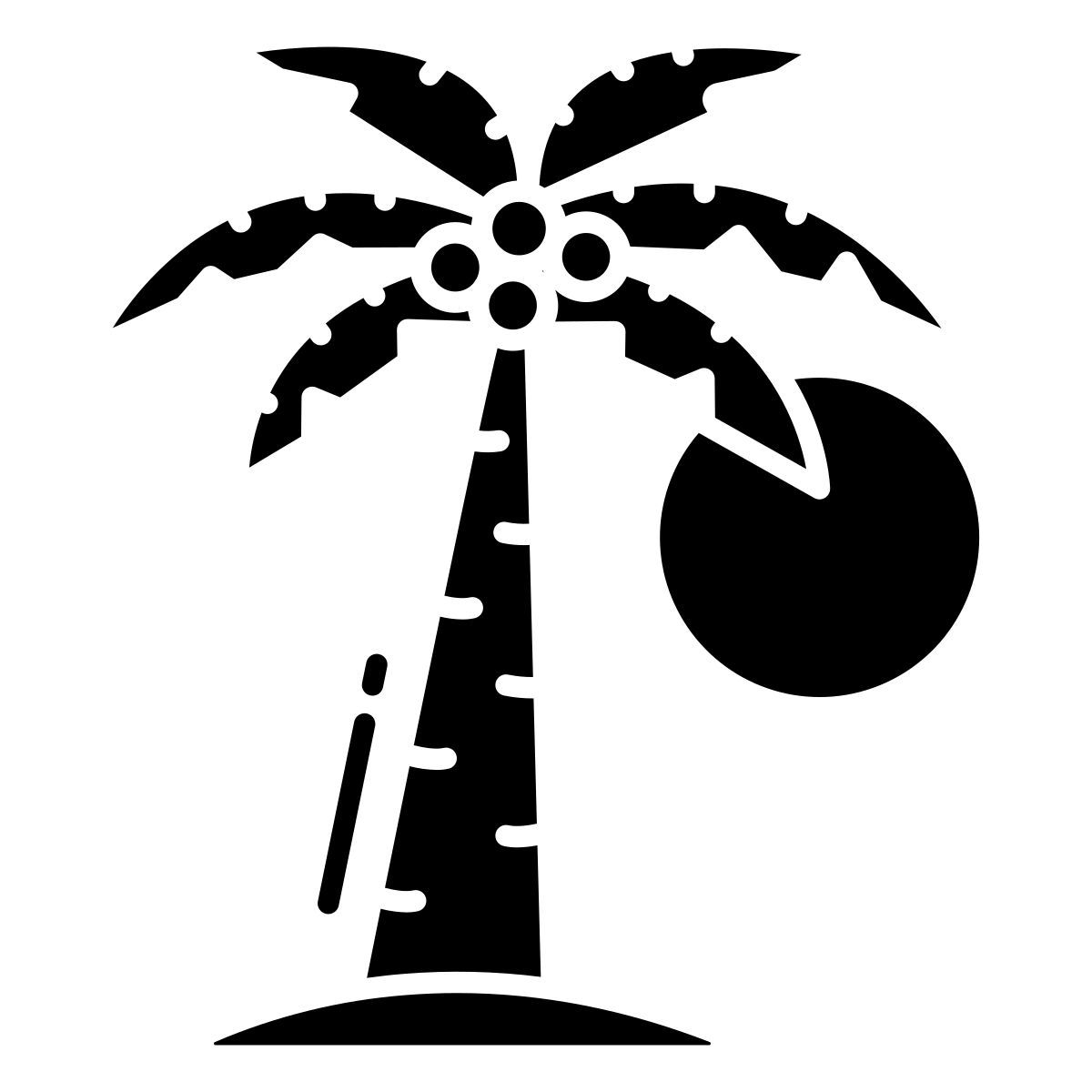 palm tree icon