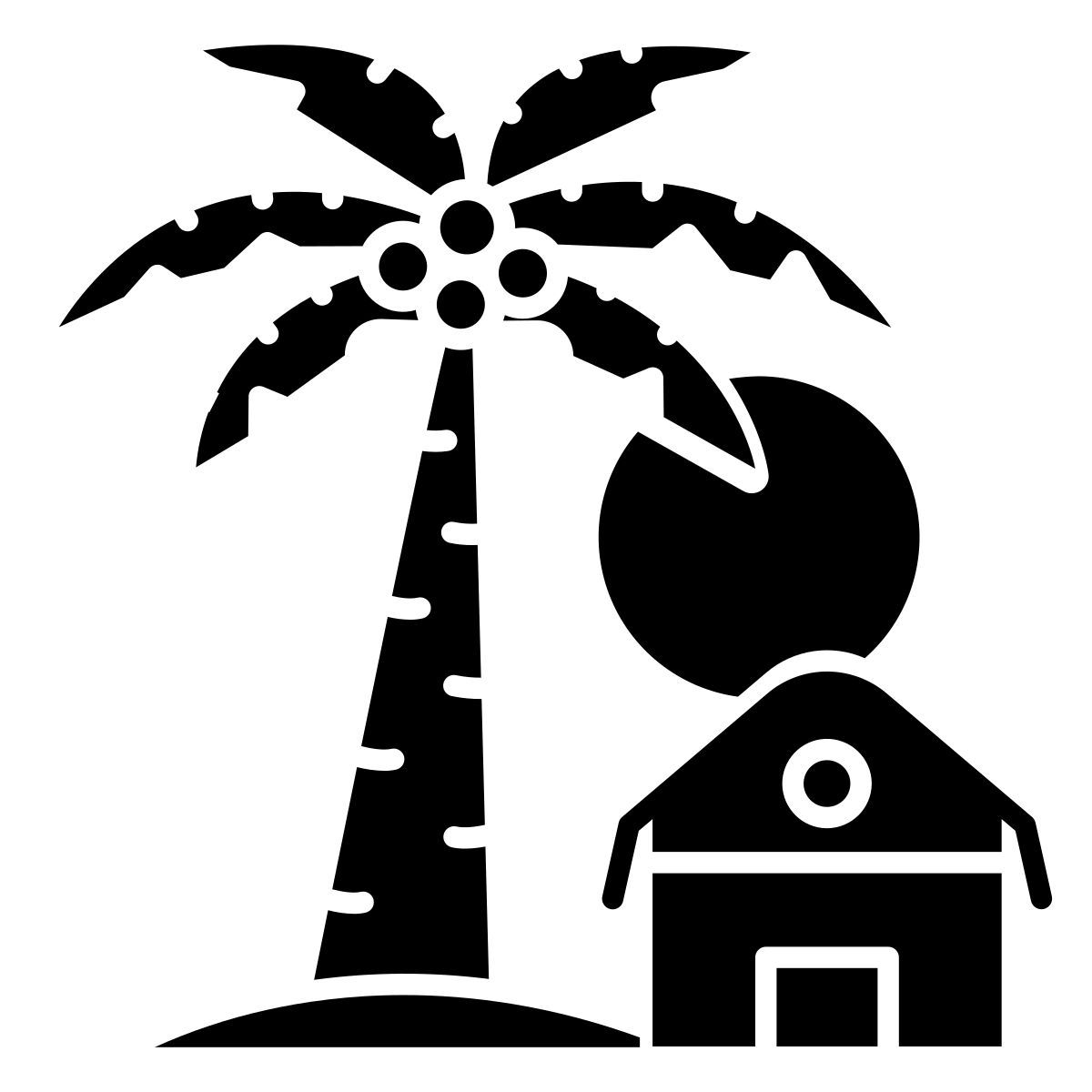 palm tree icon