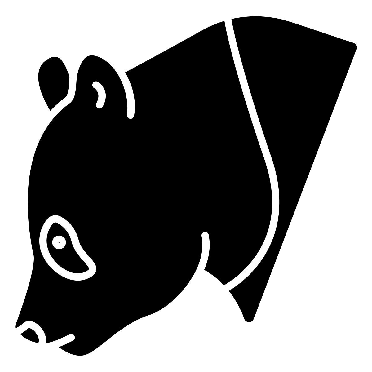panda icon