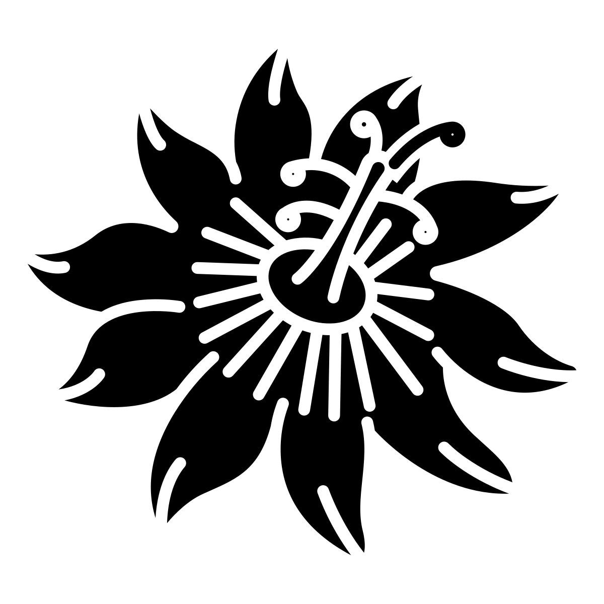 paixão icon