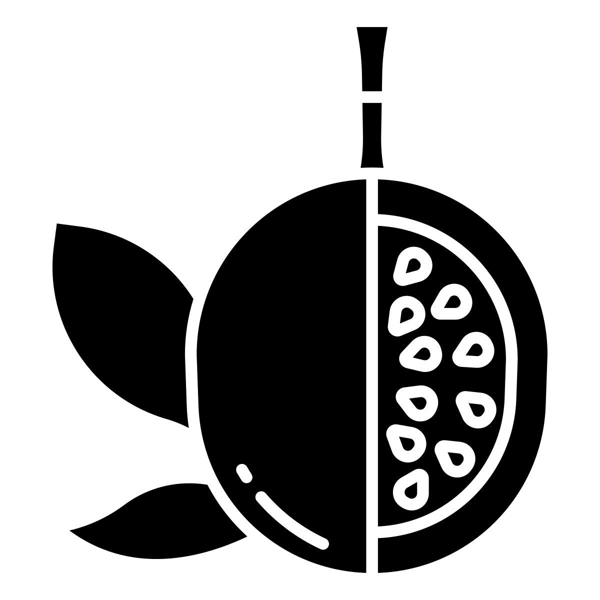 百香果 icon