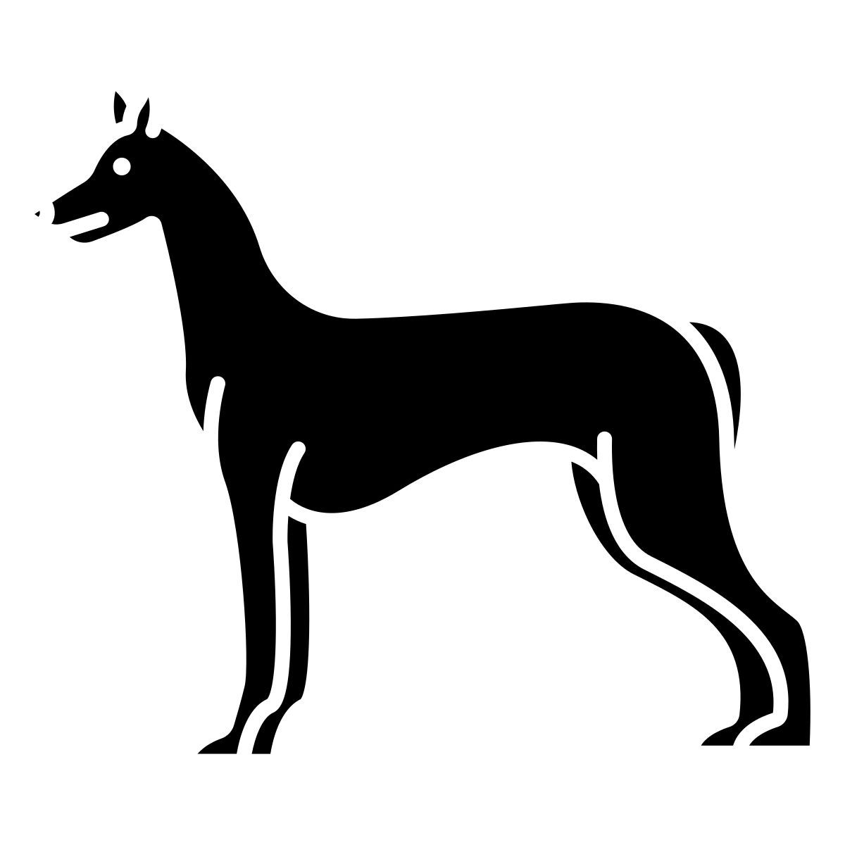 pharaoh hound icon