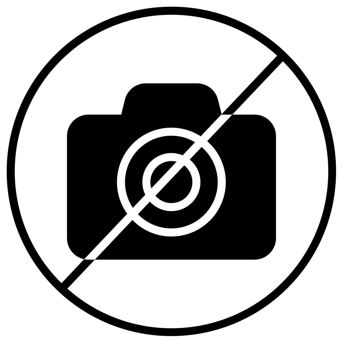 photo icon