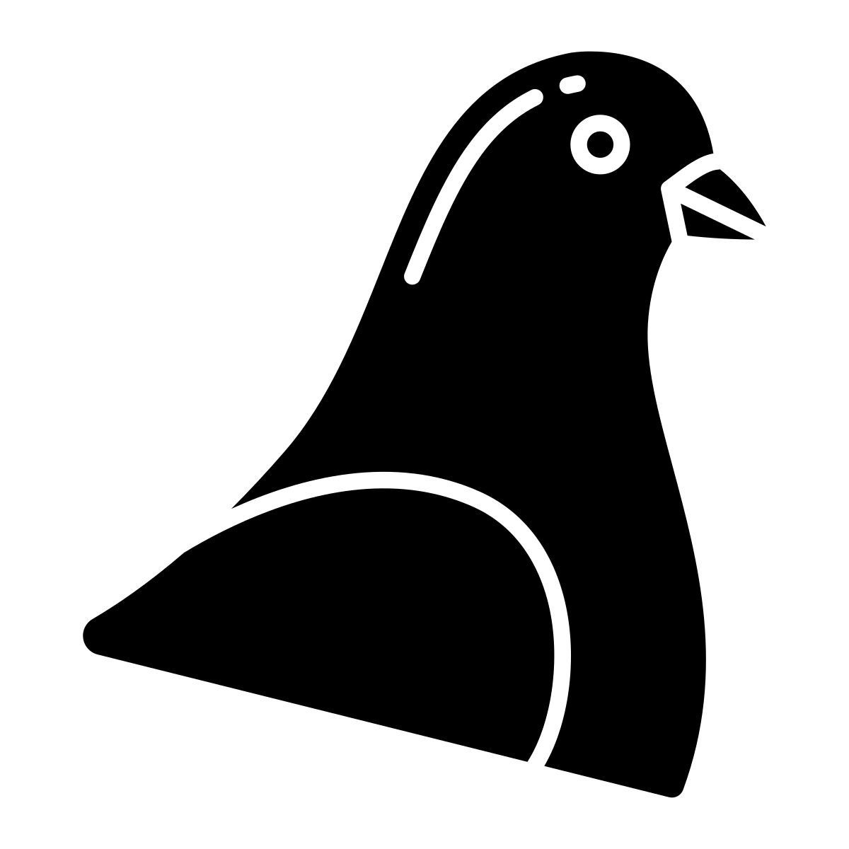 pigeon icon
