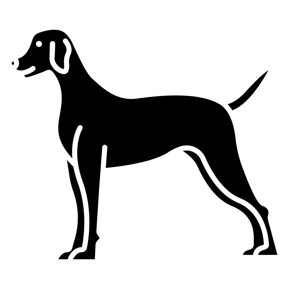 dog icon