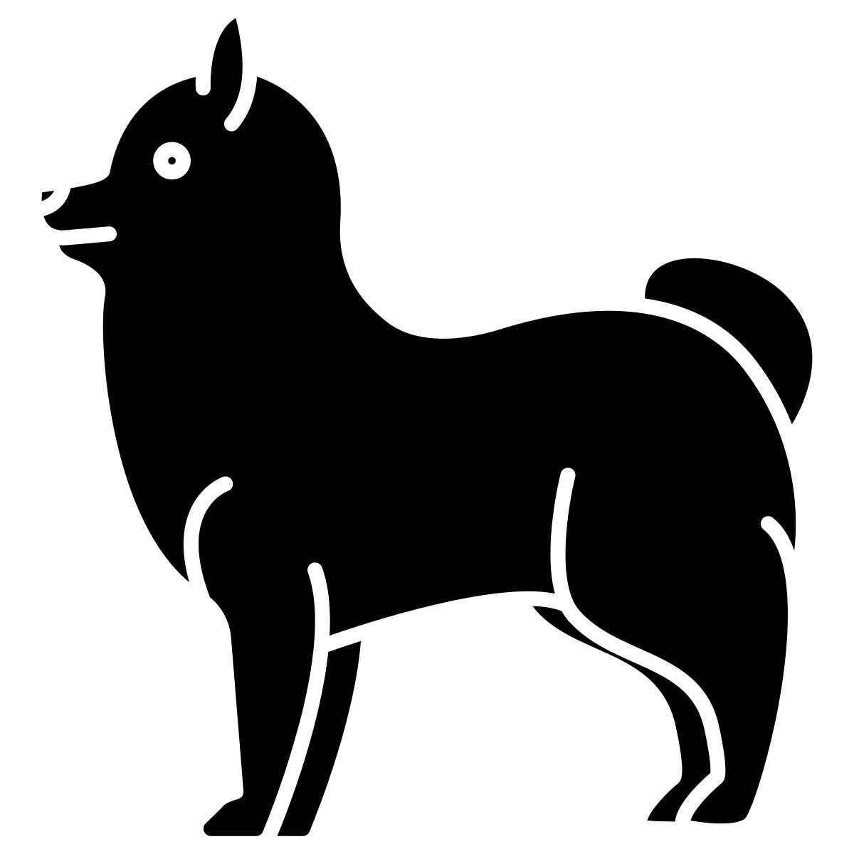 pomeranian icon