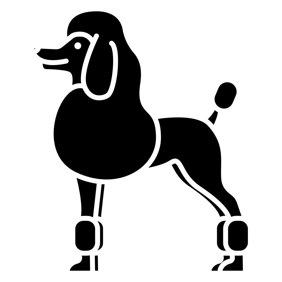poodle icon