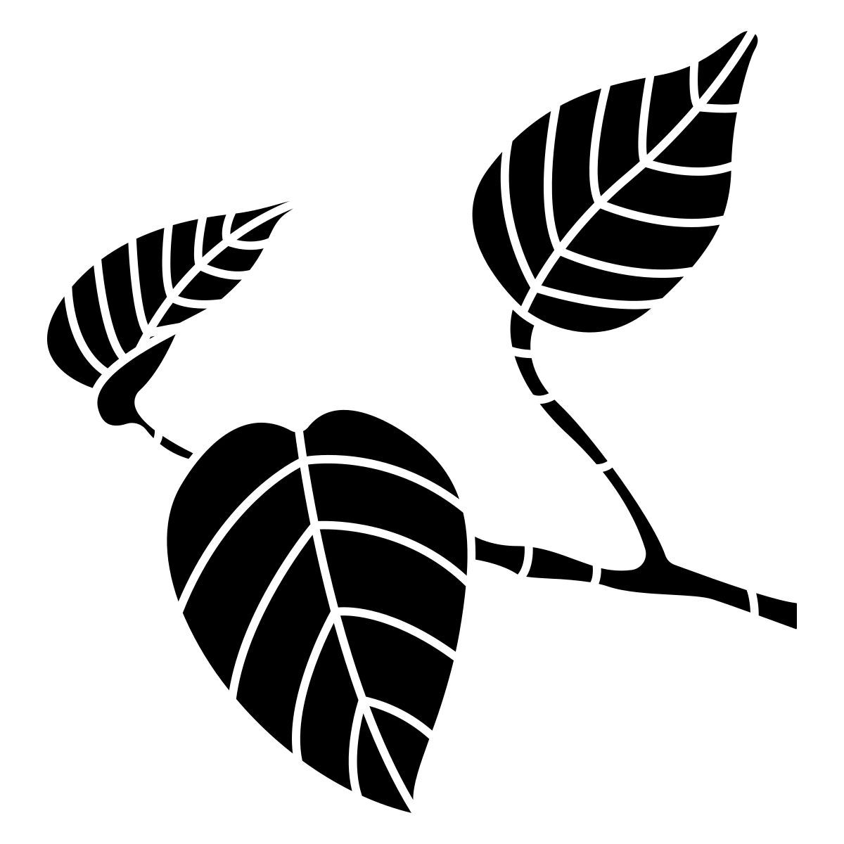 pothos icon