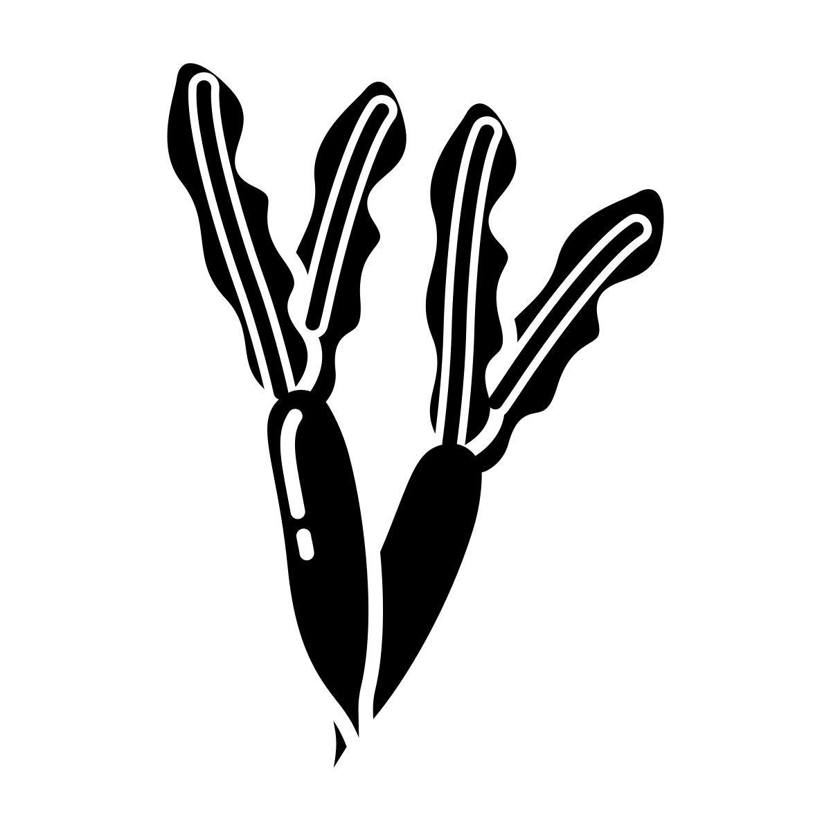 radish icon