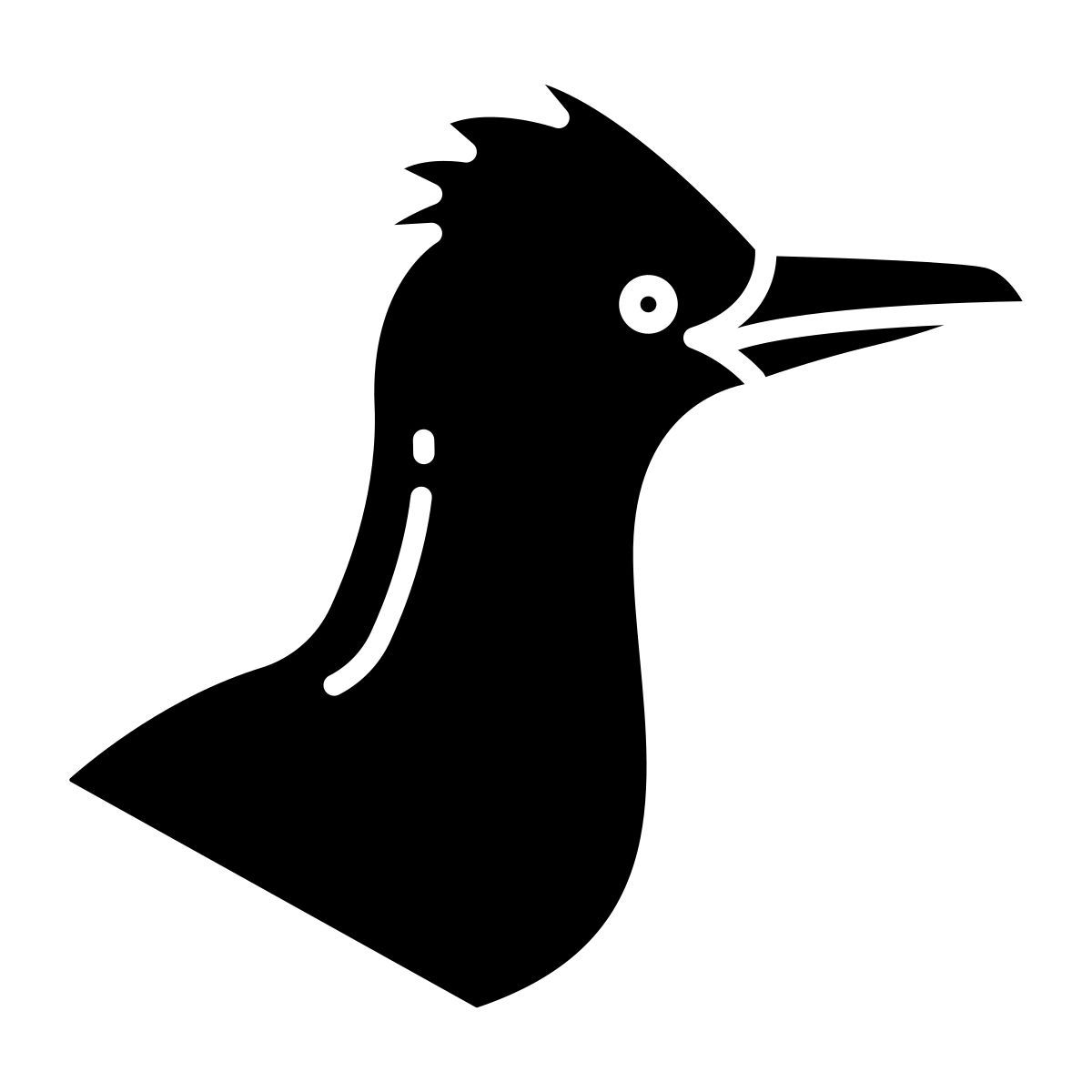 roadrunner icon