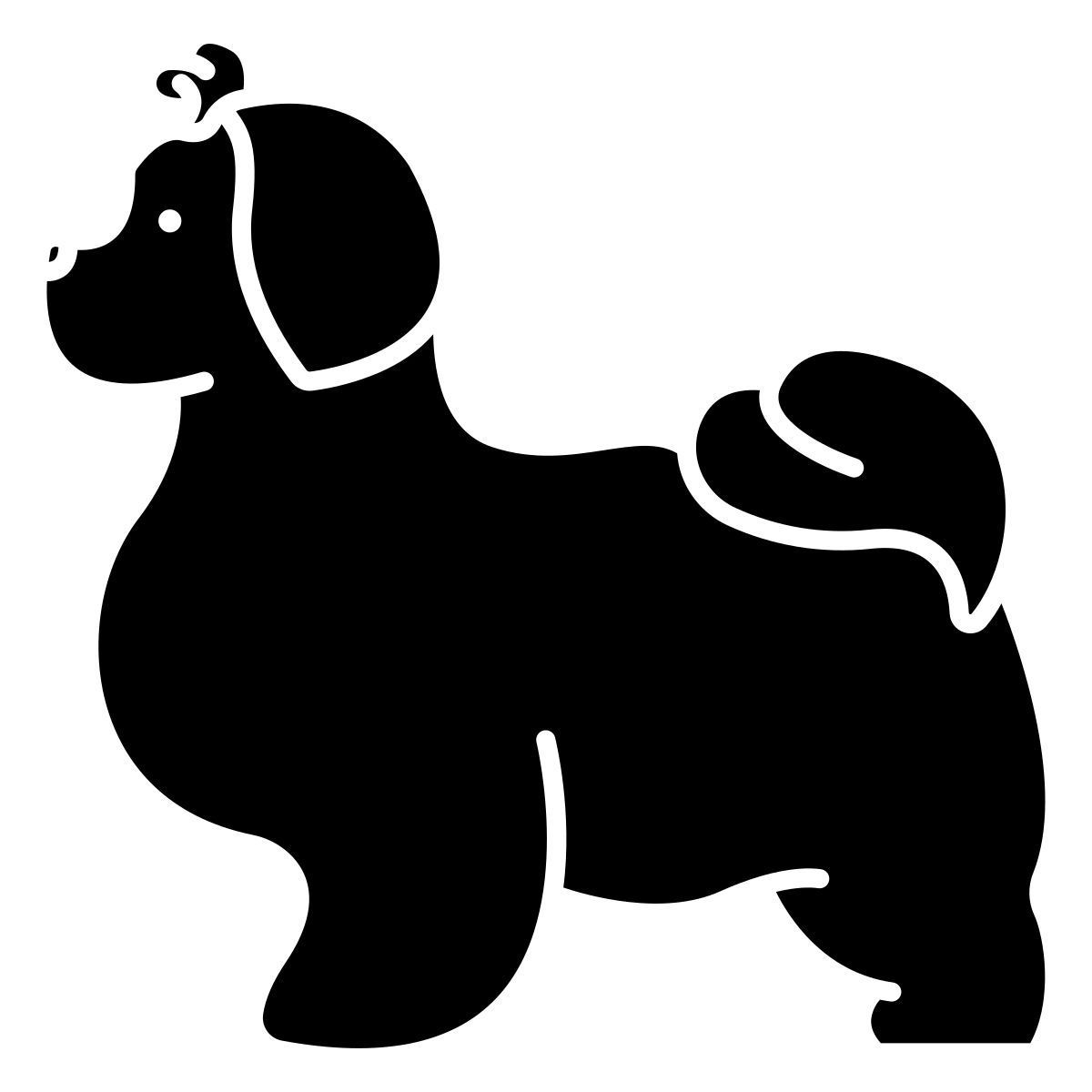 shih tzu icon