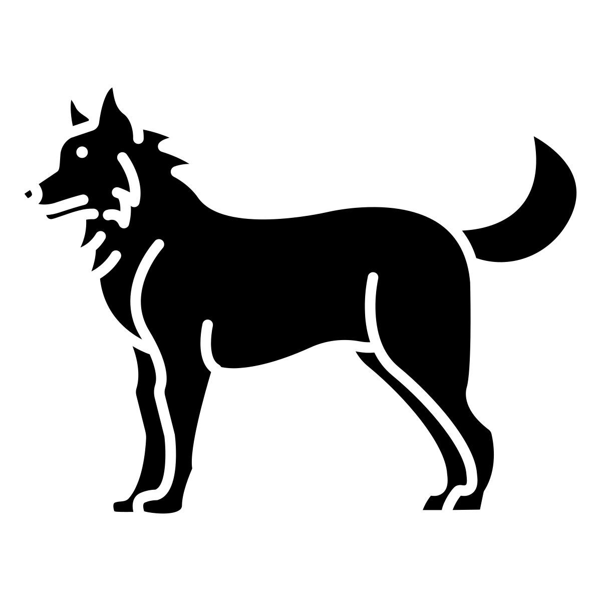siberian husky icon